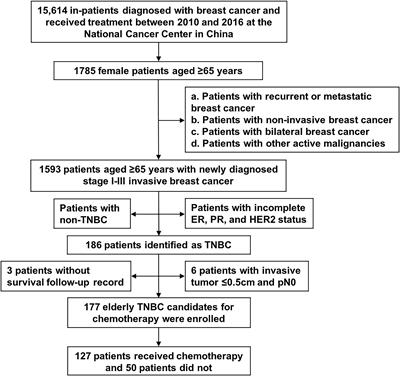 Chemotherapy Decision-Making and Survival Outcomes in Older Women With Early Triple-Negative Breast Cancer: Evidence From Real-World Practice